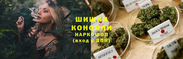 гашик Аркадак