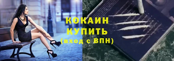 дживик Пересвет