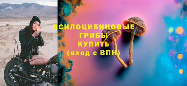 гашик Аркадак