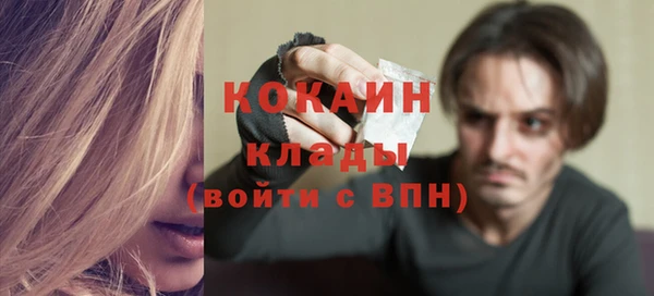 гашик Аркадак